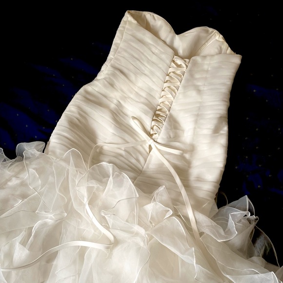 David’s Bridal Wedding Dress - Picture 4 of 6